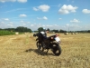 Pause im Kornfeld