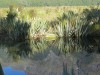 Mirror Lake