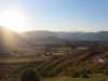 Steppe