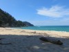 Treibgut am Strand